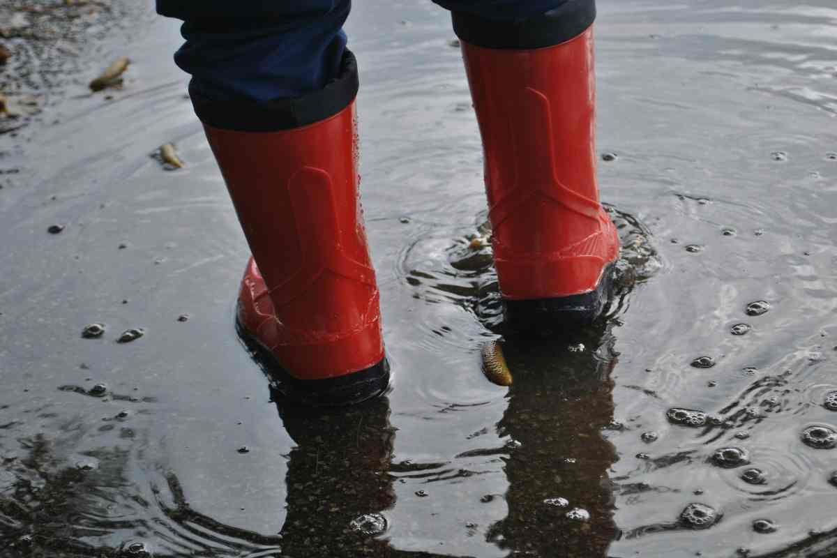 Emergenza climatica 38mila decessi